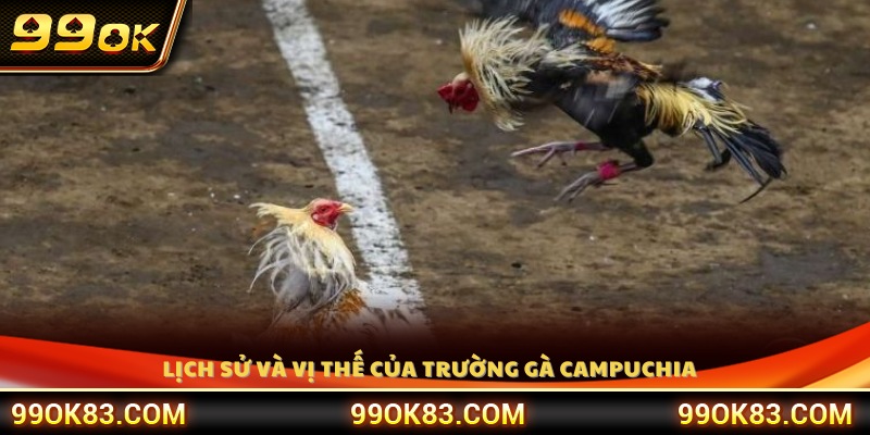 Tìm hiểu nguồn gốc phát triển của trường gà Campuchia